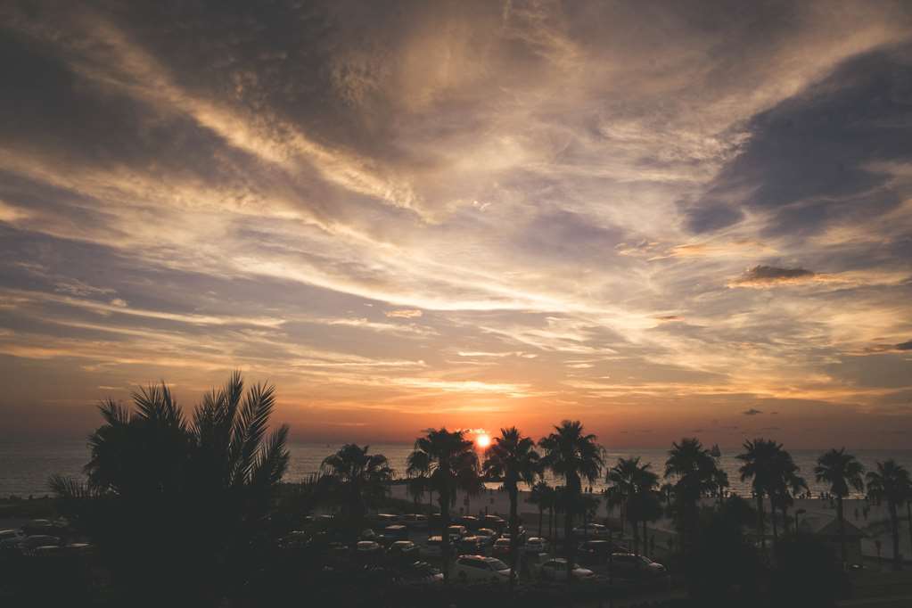 Magnuson Hotel Clearwater Beach Natur foto